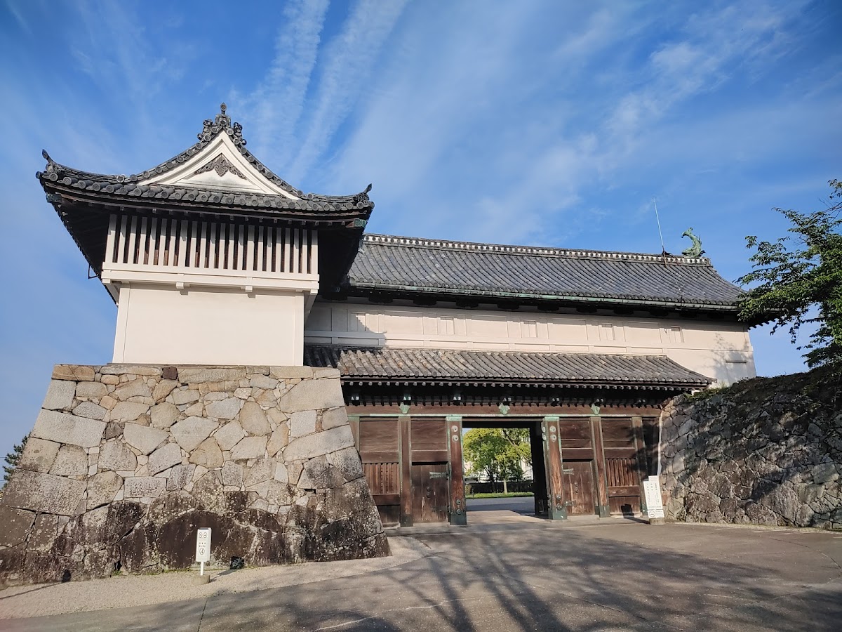 佐賀城公園の桜