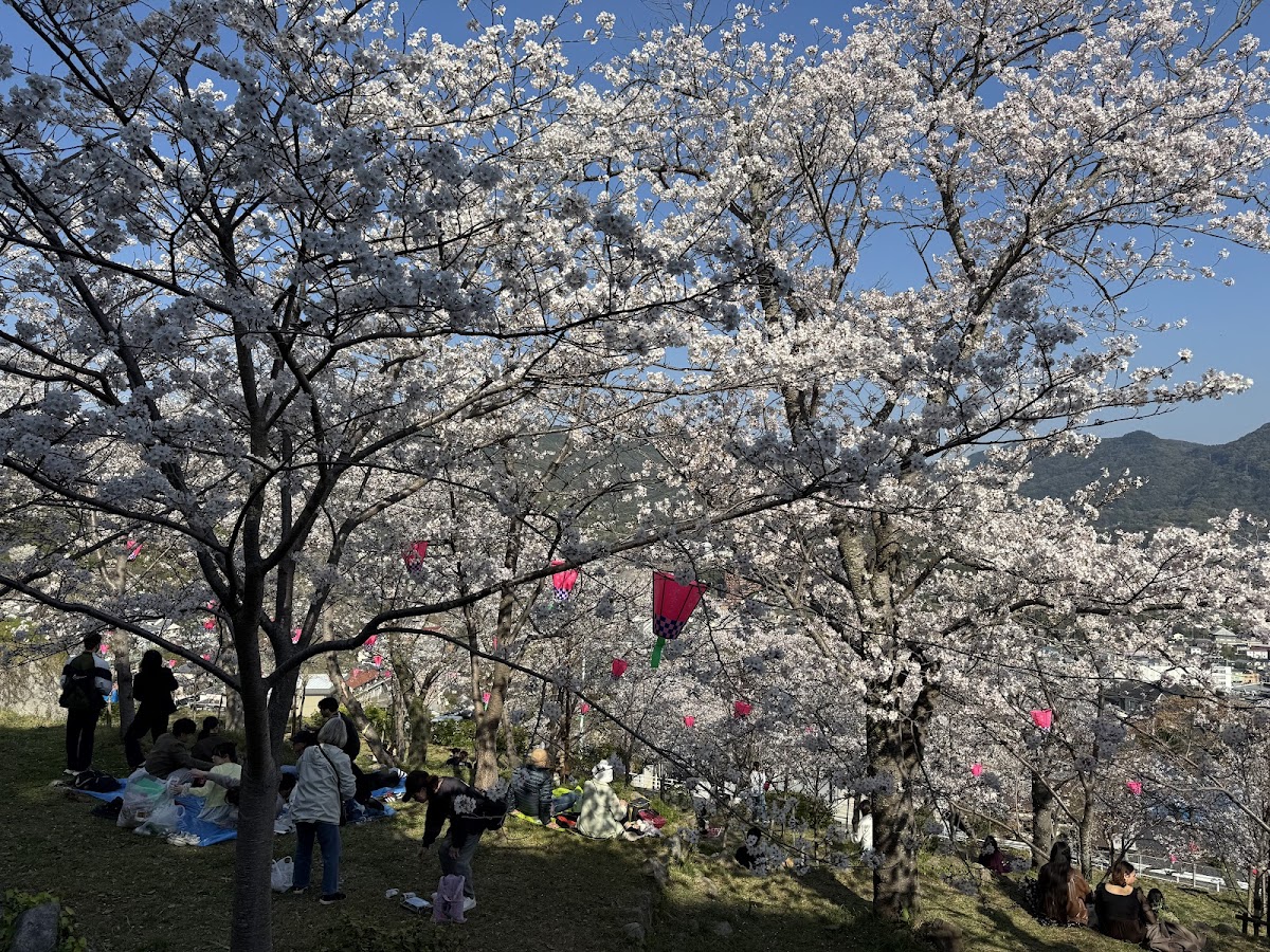 立山公園(長崎県)桜の名所ガイド