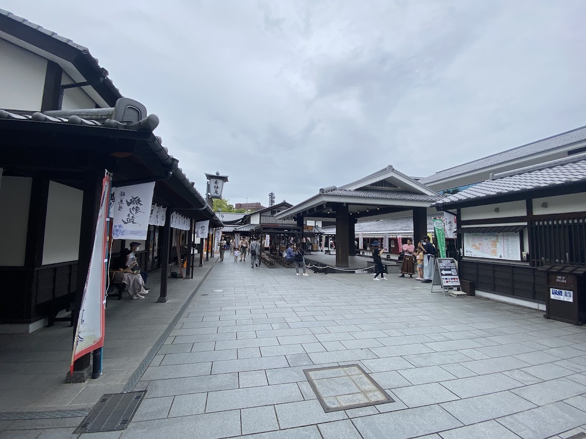 熊本城の桜完全ガイド2026|日本さくら名所100選の見どころと周辺花見スポット