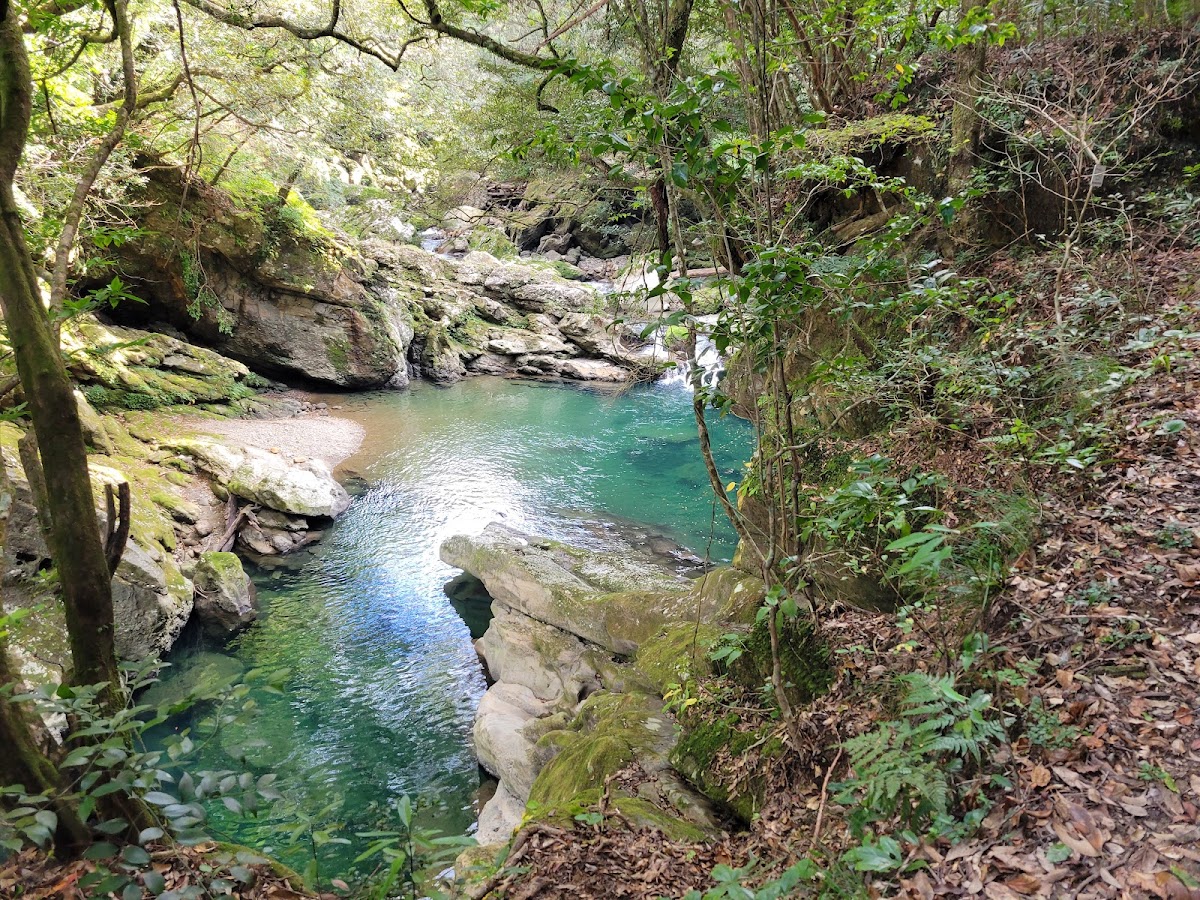 加江田渓谷(宮崎県)の桜名所