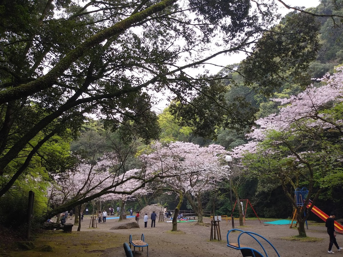 慈眼寺公園(鹿児島県)桜の名所