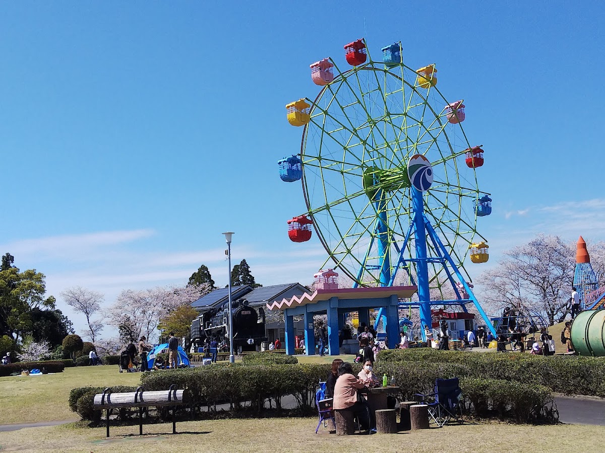 城山公園(鹿児島県霧島市)の桜