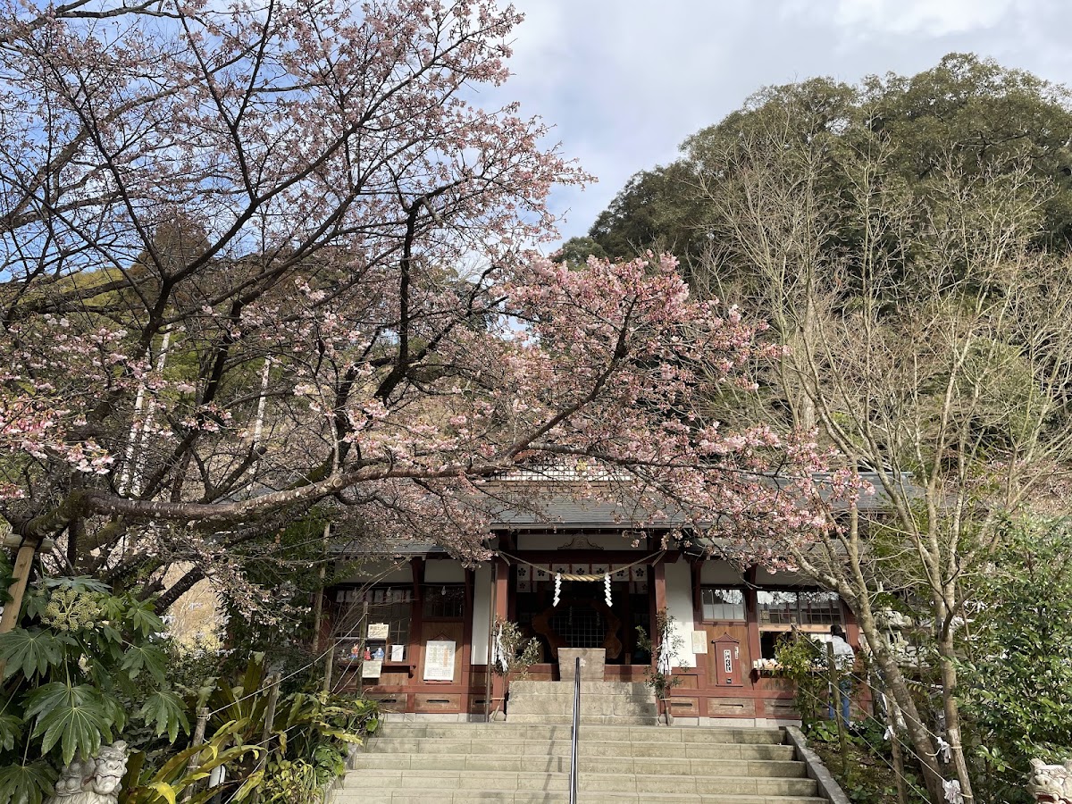藤川天神(鹿児島県薩摩川内市)の桜・梅の名所