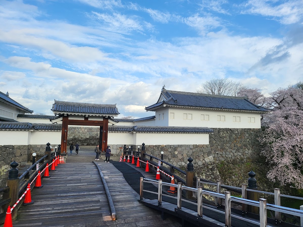 霞城公園の桜