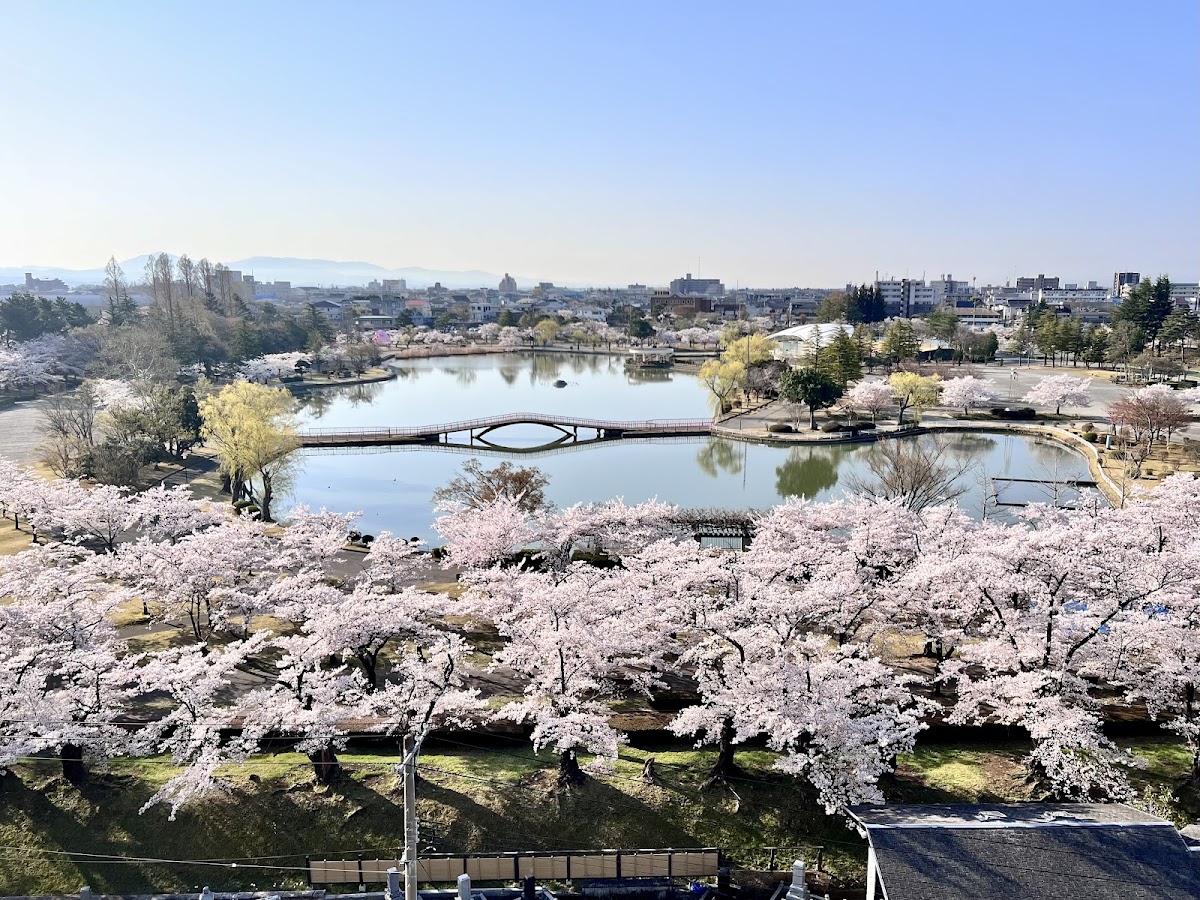 開成山公園(福島県)桜の名所