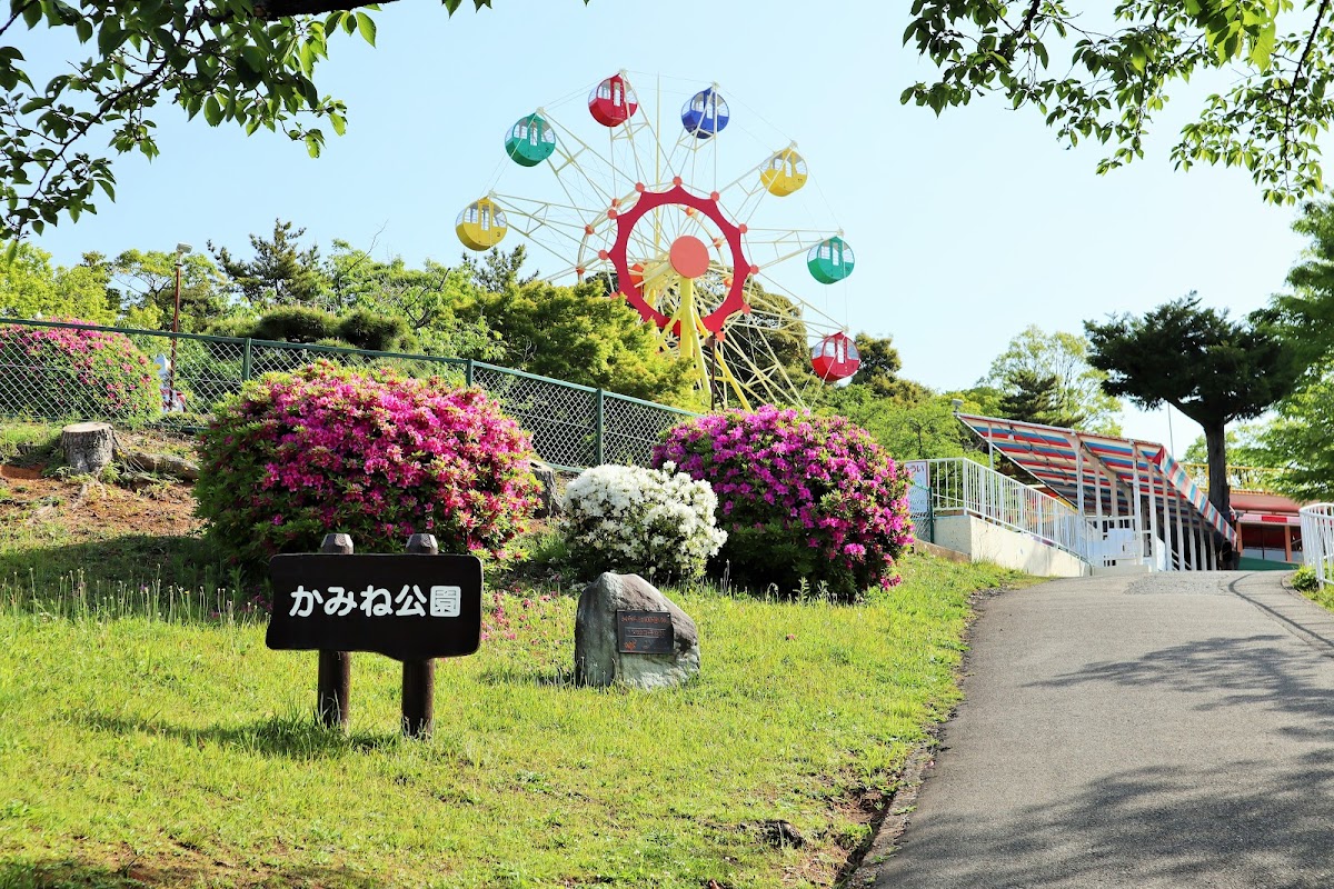 かみね公園の桜完全ガイド2025｜茨城県日立市の桜名所100選を徹底解説