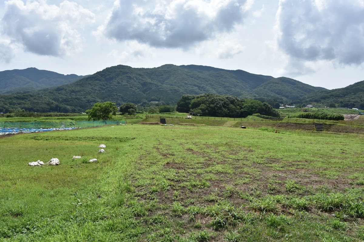 真壁城跡(茨城県桜川市)の桜と歴史