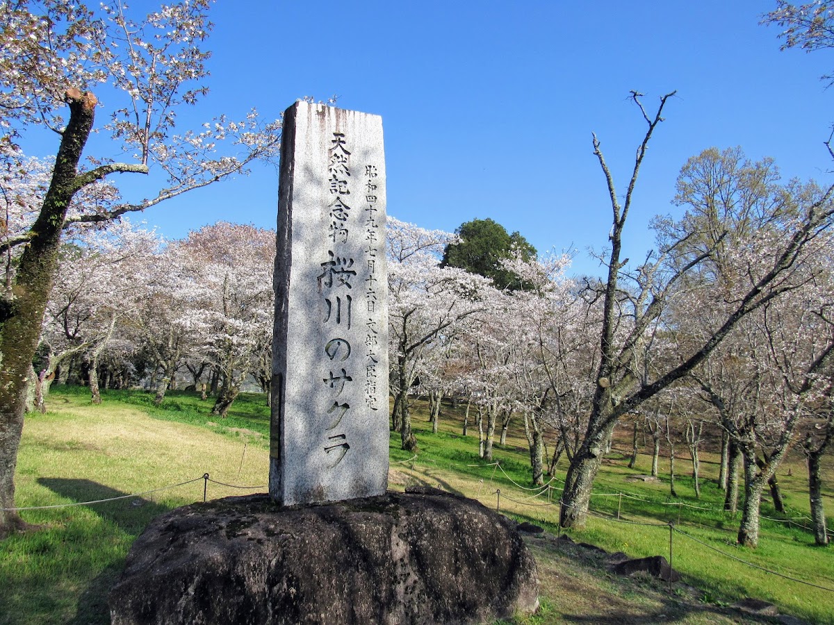 磯部桜川公園