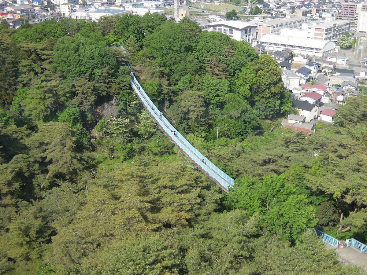 八幡山公園の桜完全ガイド2026｜栃木県屈指の桜名所の見どころと楽しみ方