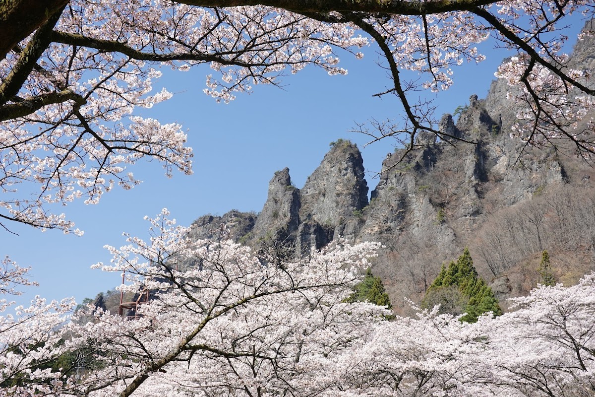 妙義山さくらの里