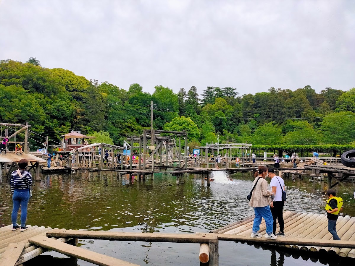 清水公園（千葉県）の桜完全ガイド2026｜日本さくら名所100選の魅力を徹底解説