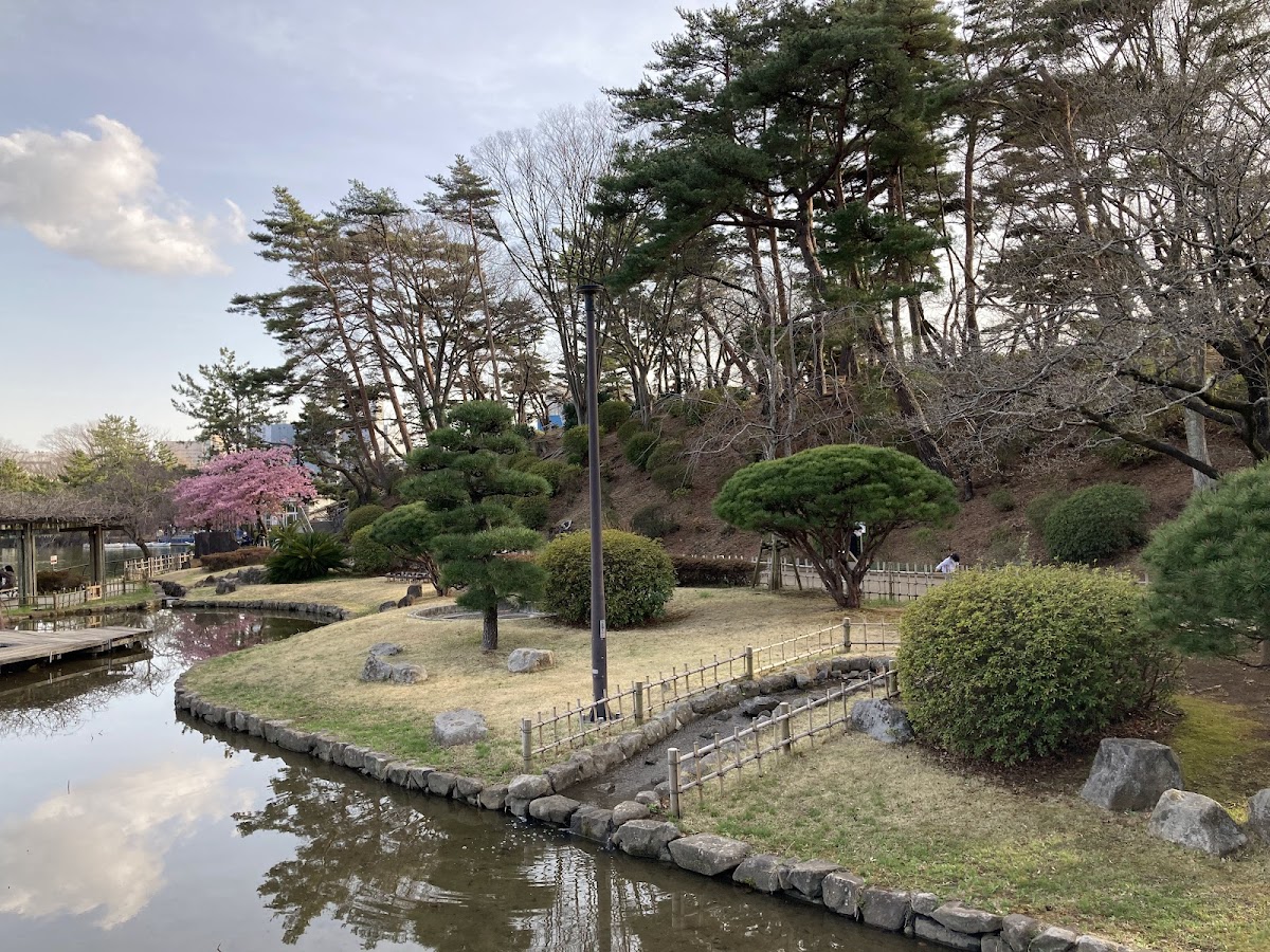 千葉公園(千葉県)の桜