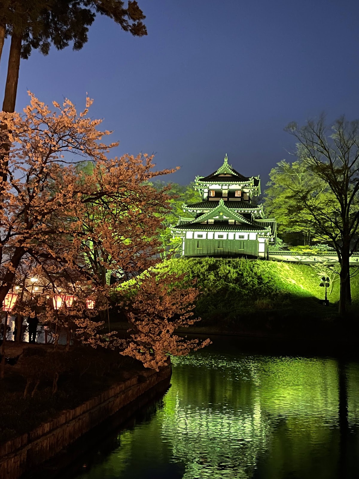 高田城址公園(新潟県)の桜