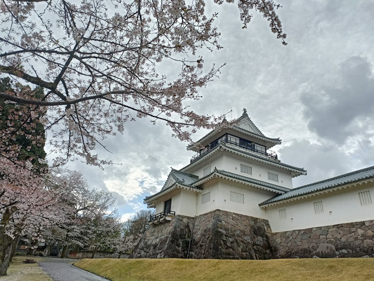 悠久山公園(新潟県長岡市)の桜完全ガイド|2500本の桜が彩る県内屈指の花見名所