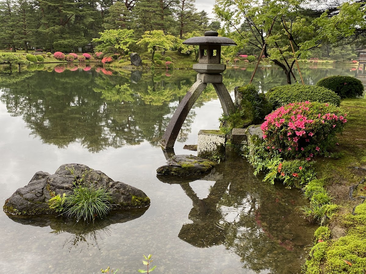 兼六園 石川県 桜 名所