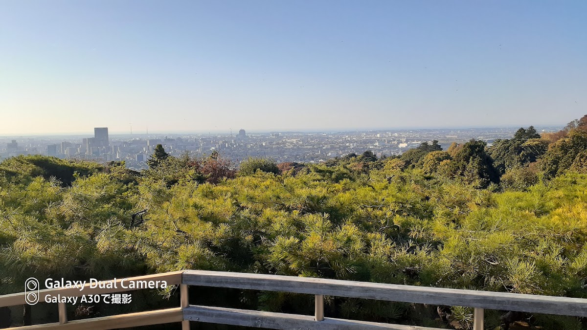 卯辰山公園の桜完全ガイド｜石川県金沢が誇る桜の名所の見どころと楽しみ方