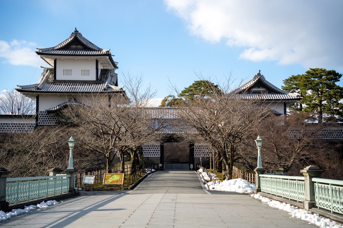 金沢城公園の桜
