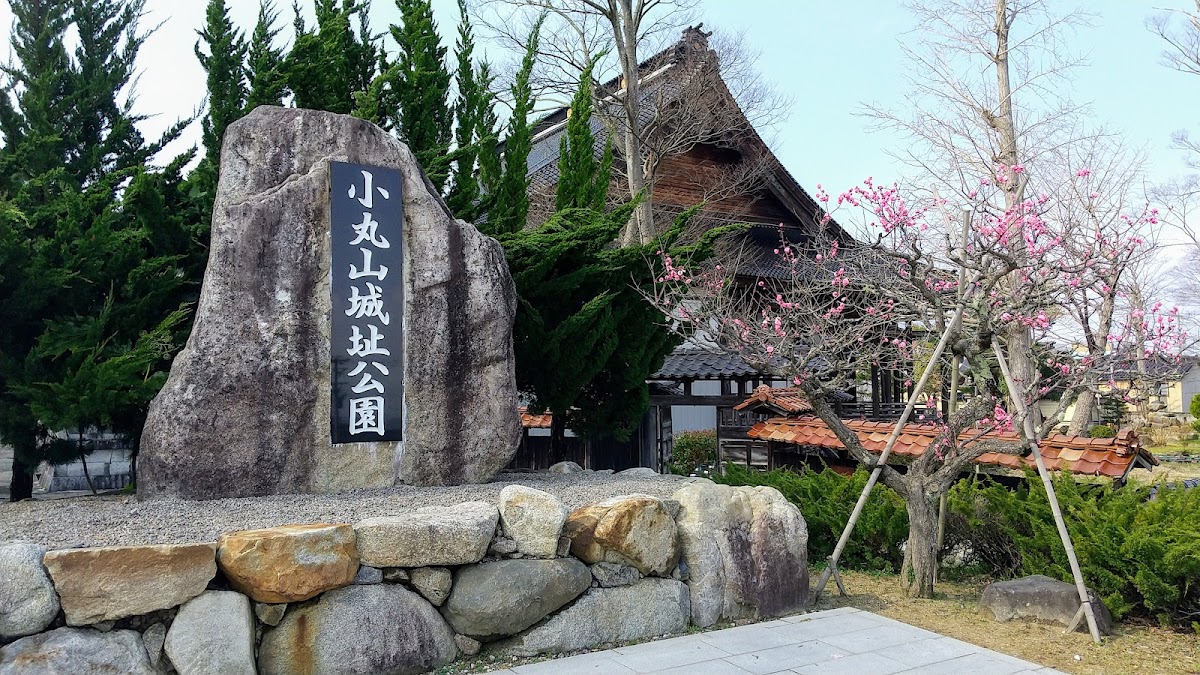 小丸山城址公園（石川県七尾市）桜の名所