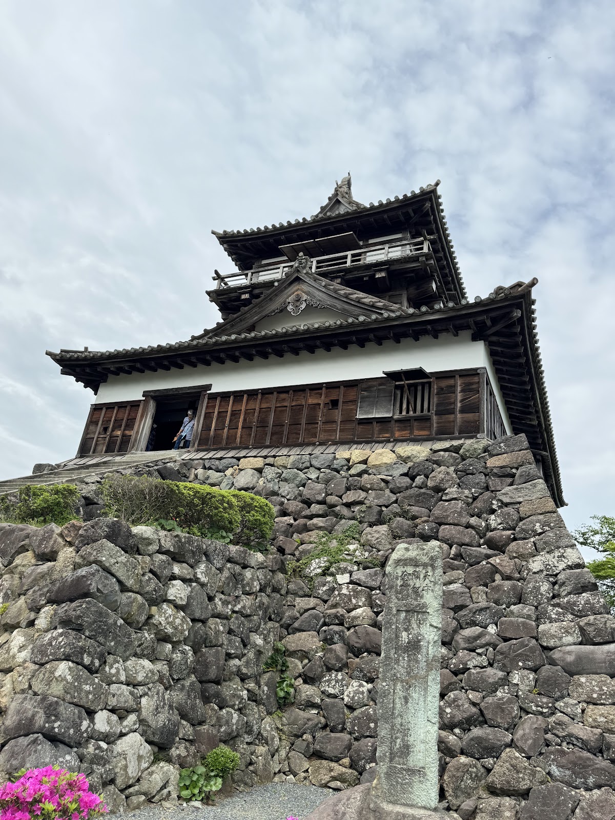 丸岡城(福井県)の桜名所