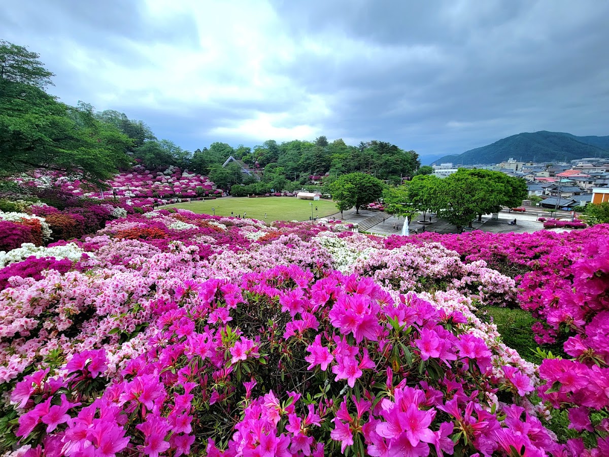 西山公園(福井県鯖江市)の桜