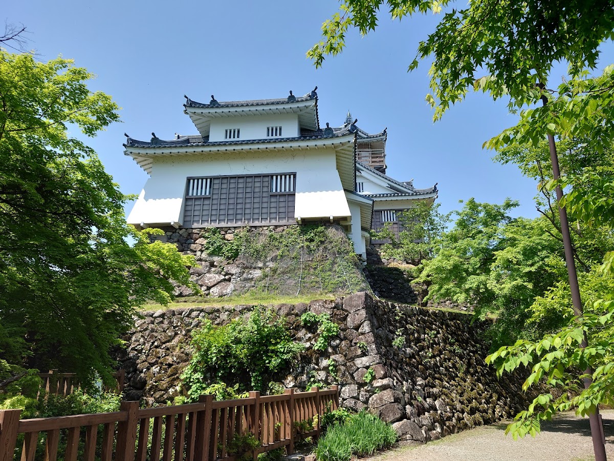 越前大野城の桜