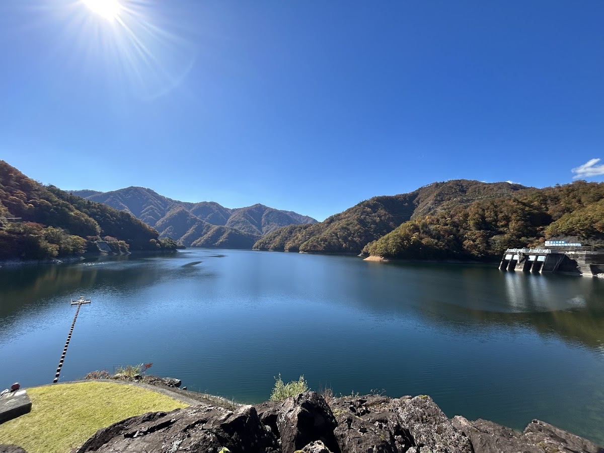 九頭竜湖の桜