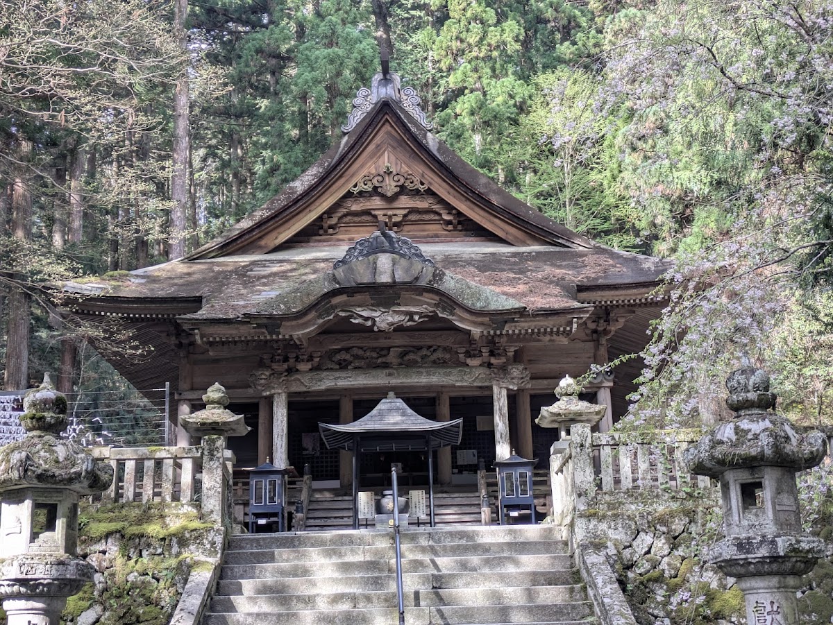 光前寺の桜