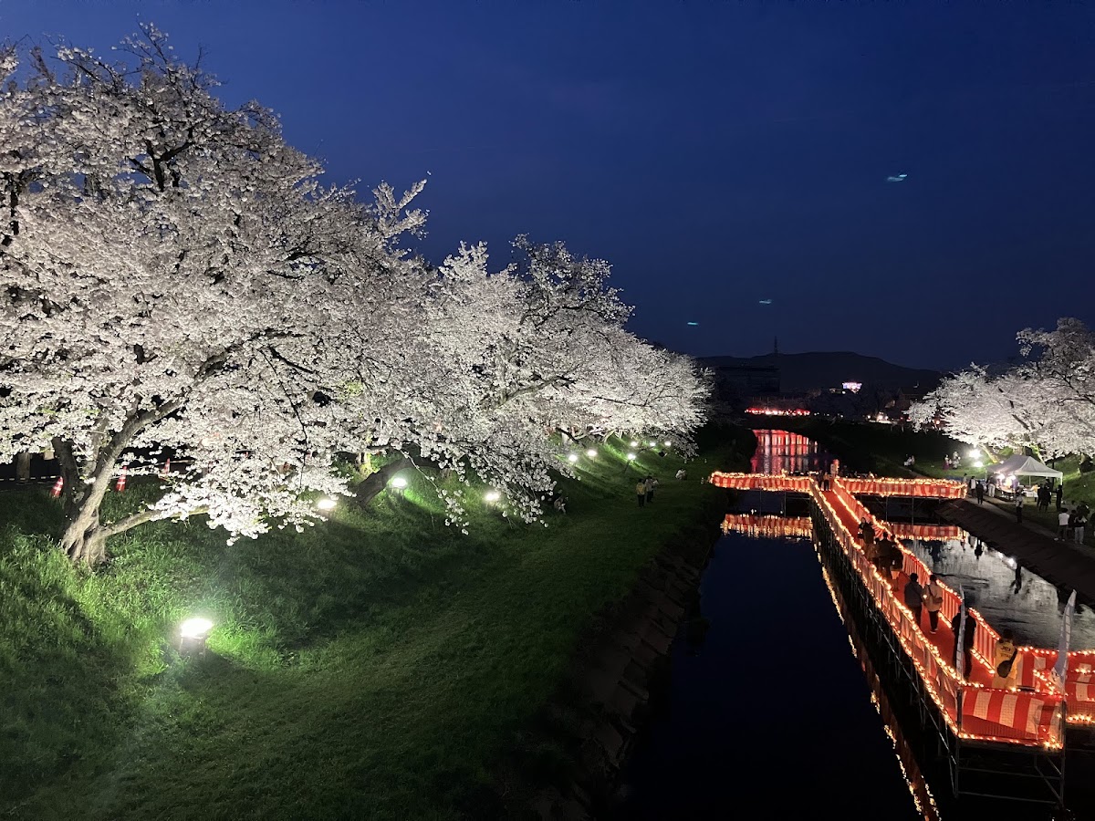 新境川堤の桜