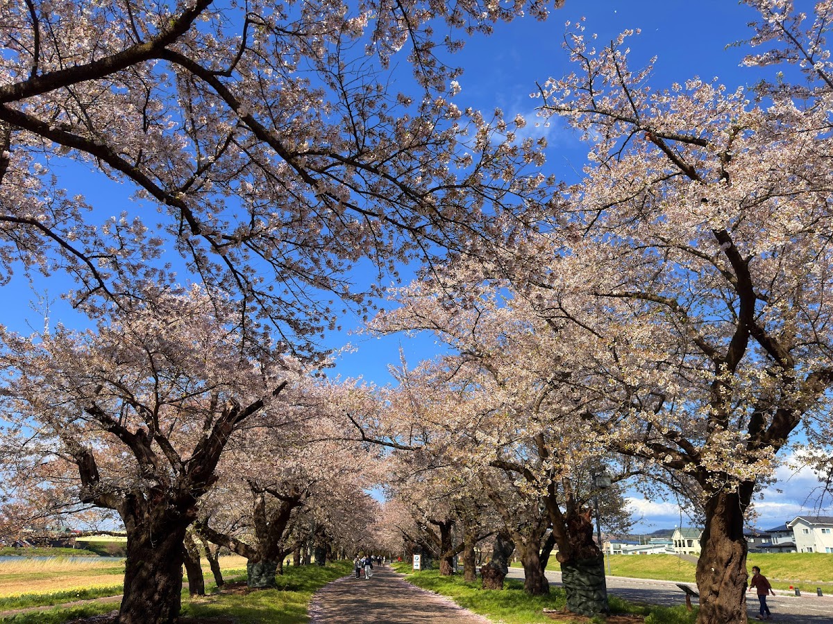 北上市立公園展勝地