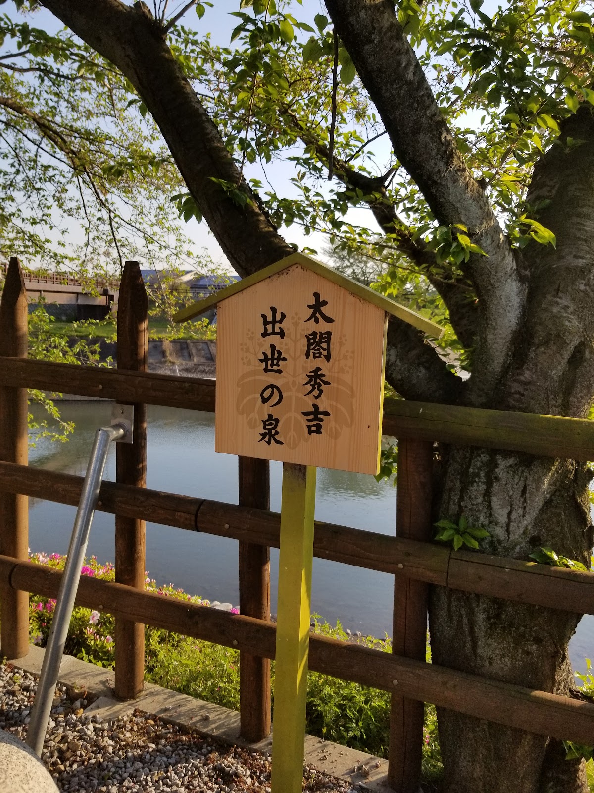 墨俣一夜城・犀川堤の桜|岐阜県を代表する桜の名所完全ガイド