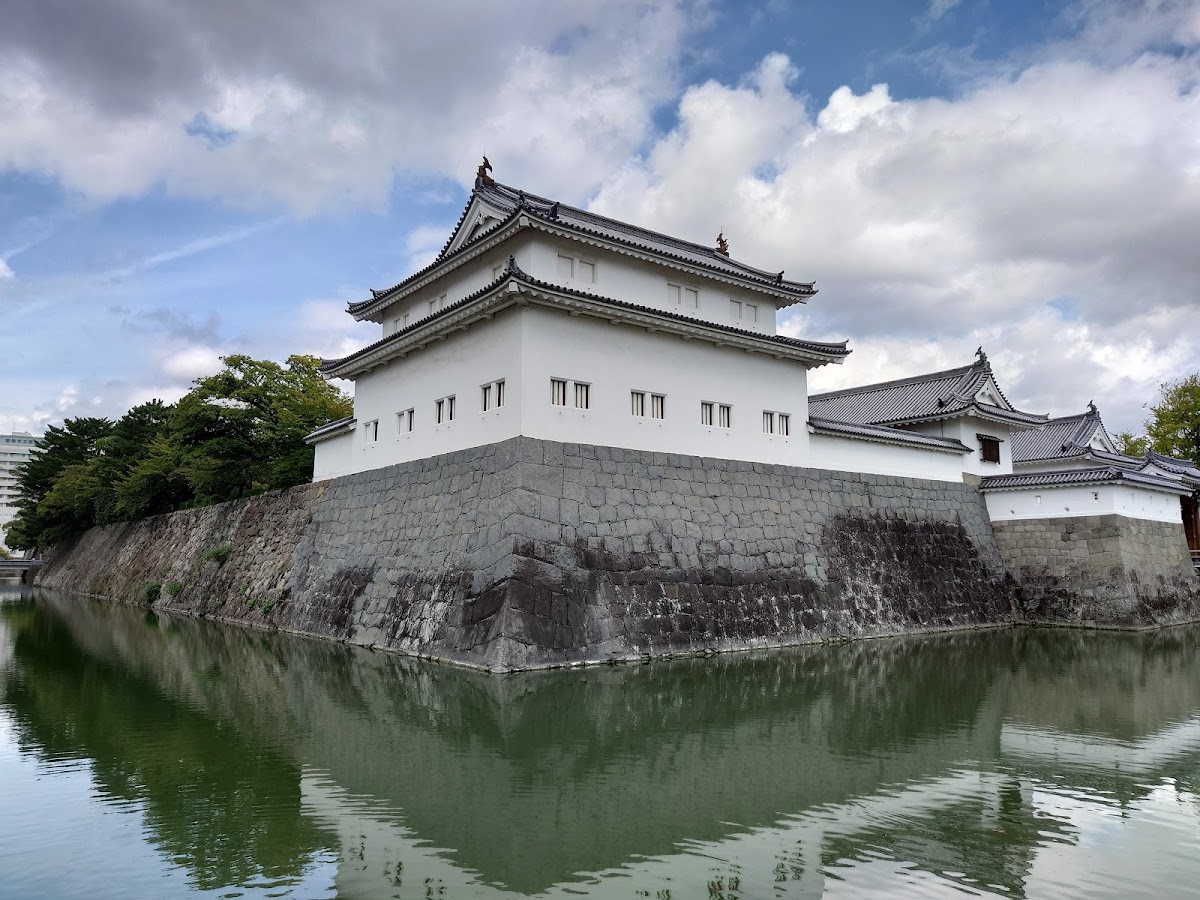 駿府城公園の桜