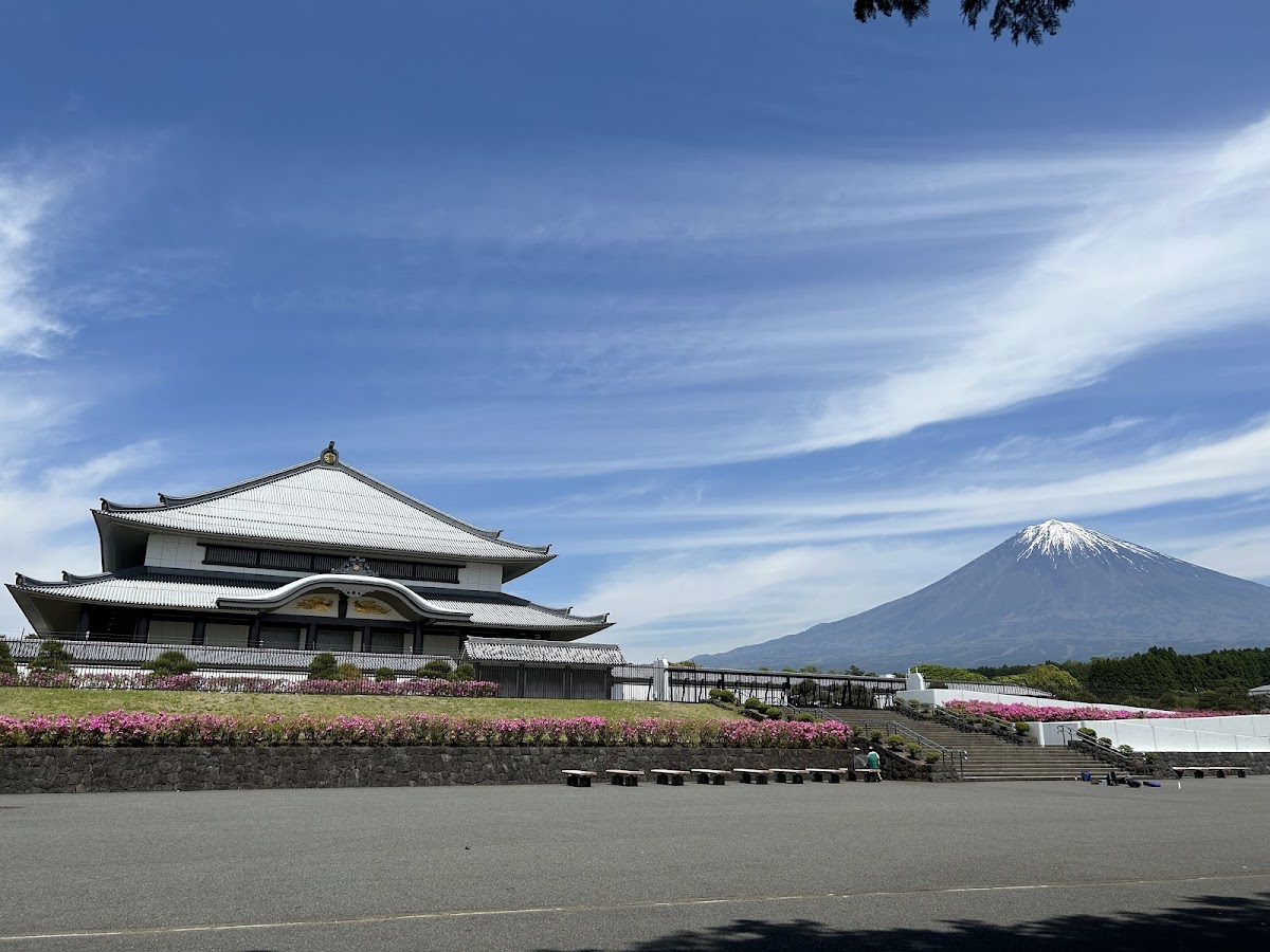大石寺の桜