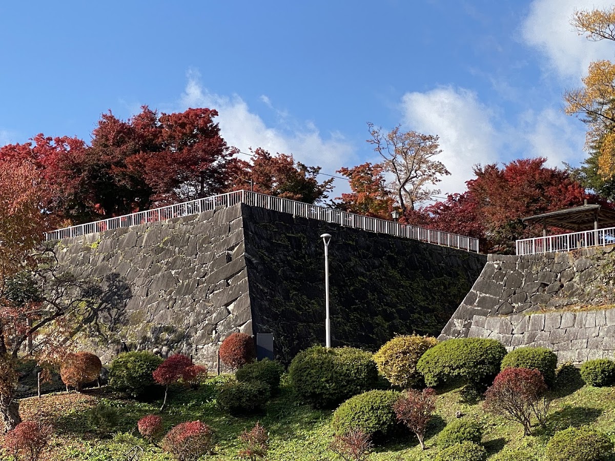 盛岡城跡公園(岩手公園)の桜