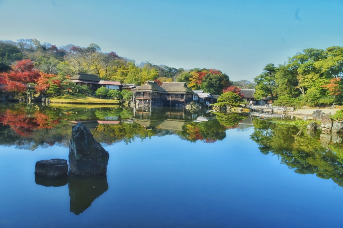 彦根城の桜2025完全ガイド|滋賀県屈指の桜名所の見頃・ライトアップ・アクセス情報