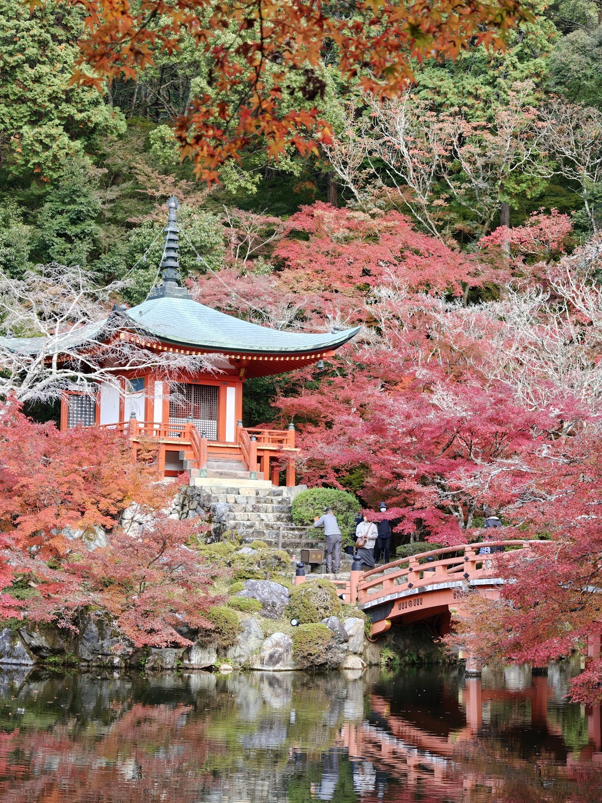 醍醐寺の桜
