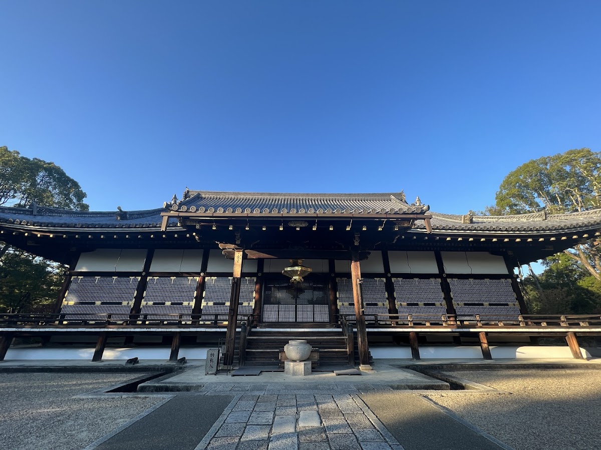 仁和寺の桜