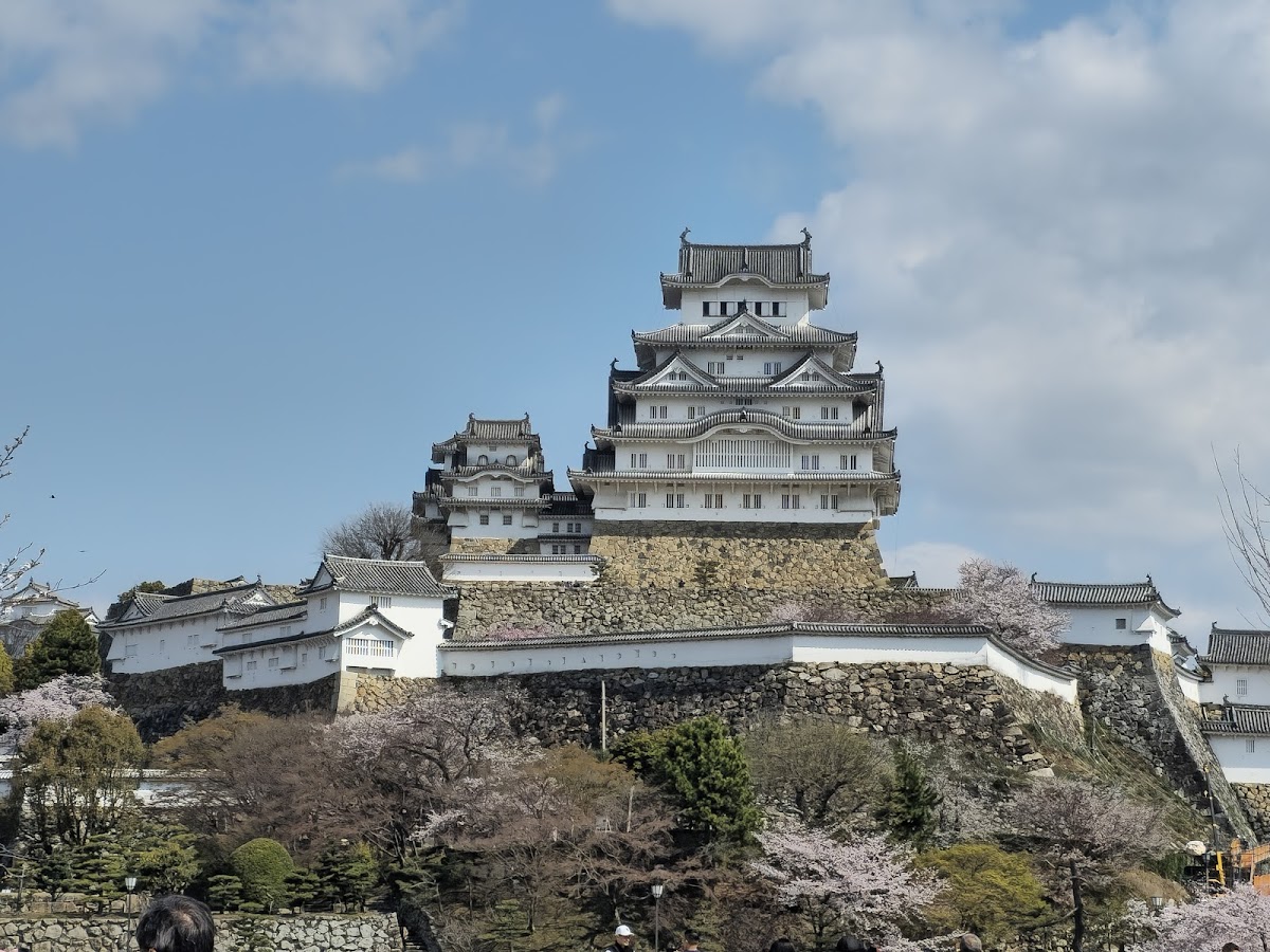 姫路城の桜