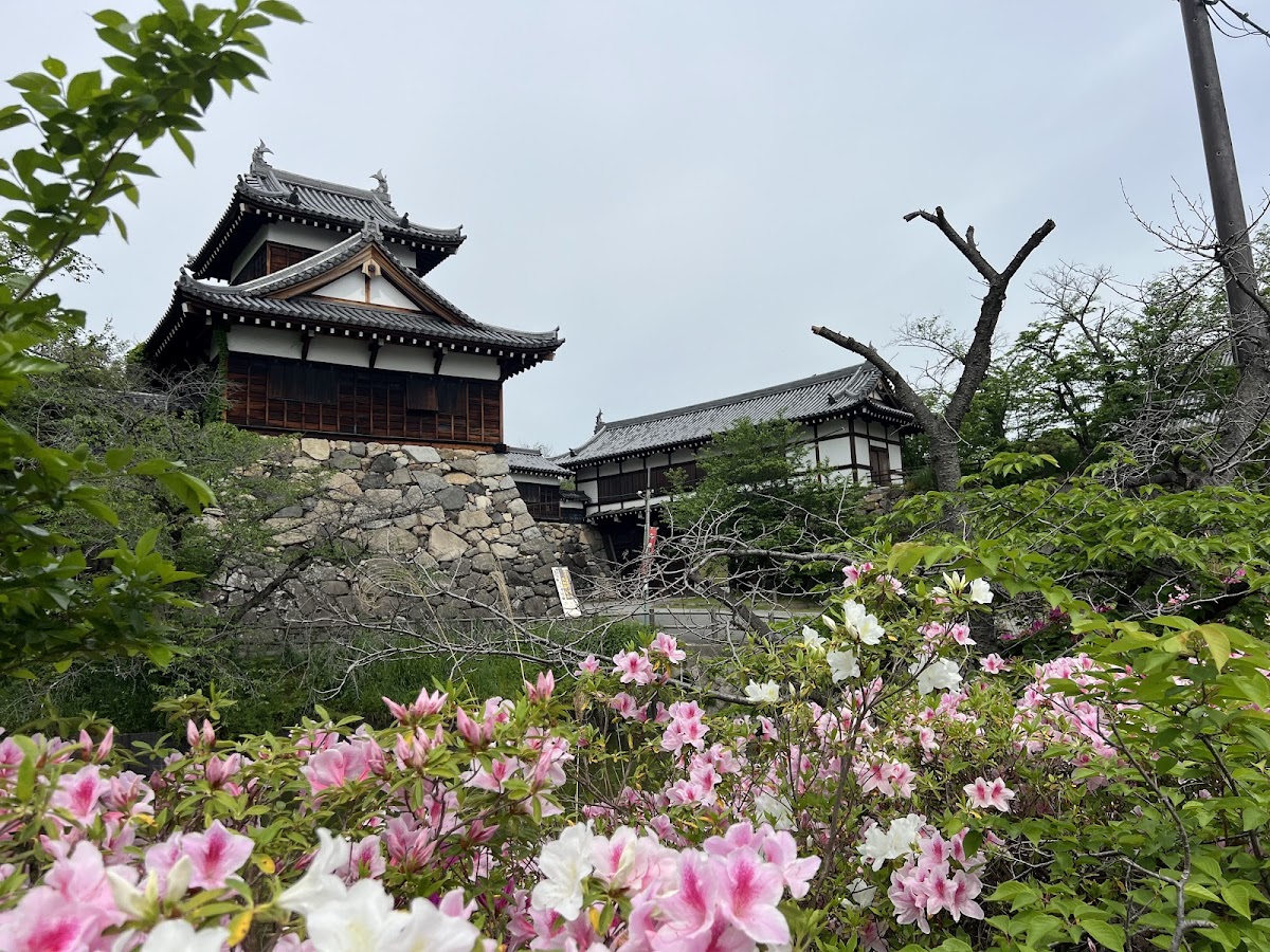 郡山城跡(奈良県)の桜|見頃・開花情報・アクセス完全ガイド2025