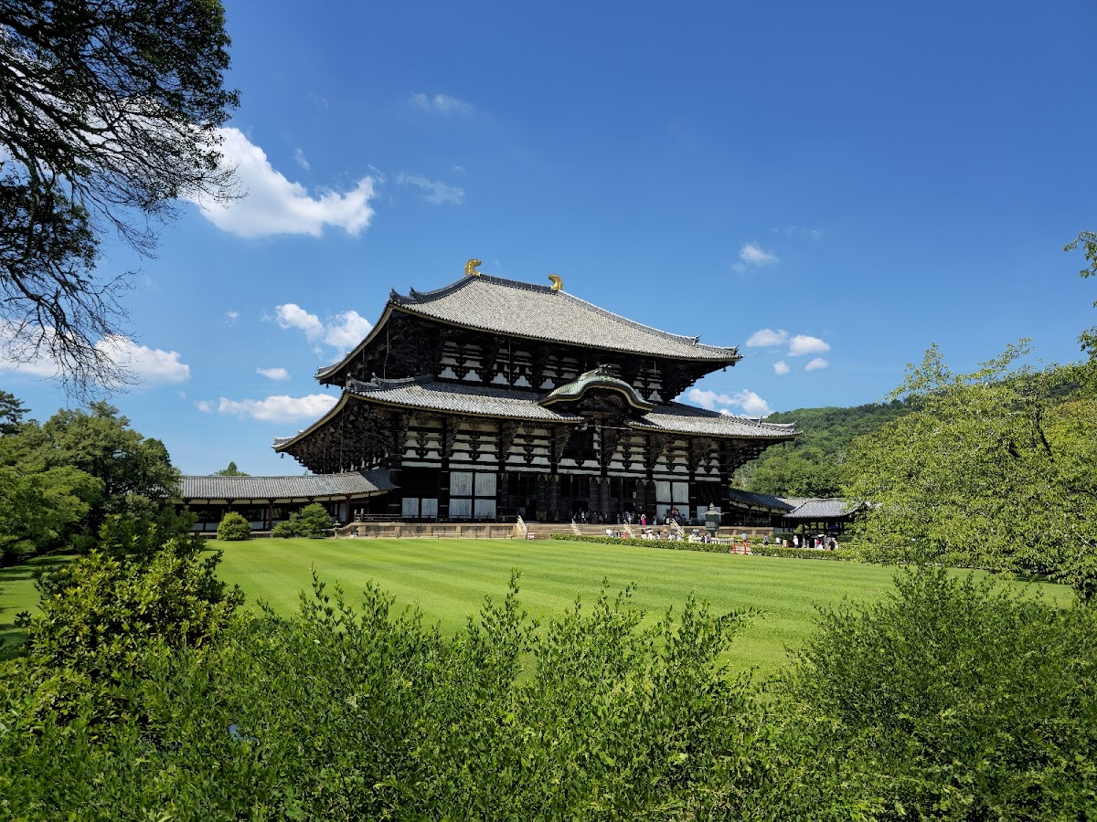 奈良公園の桜