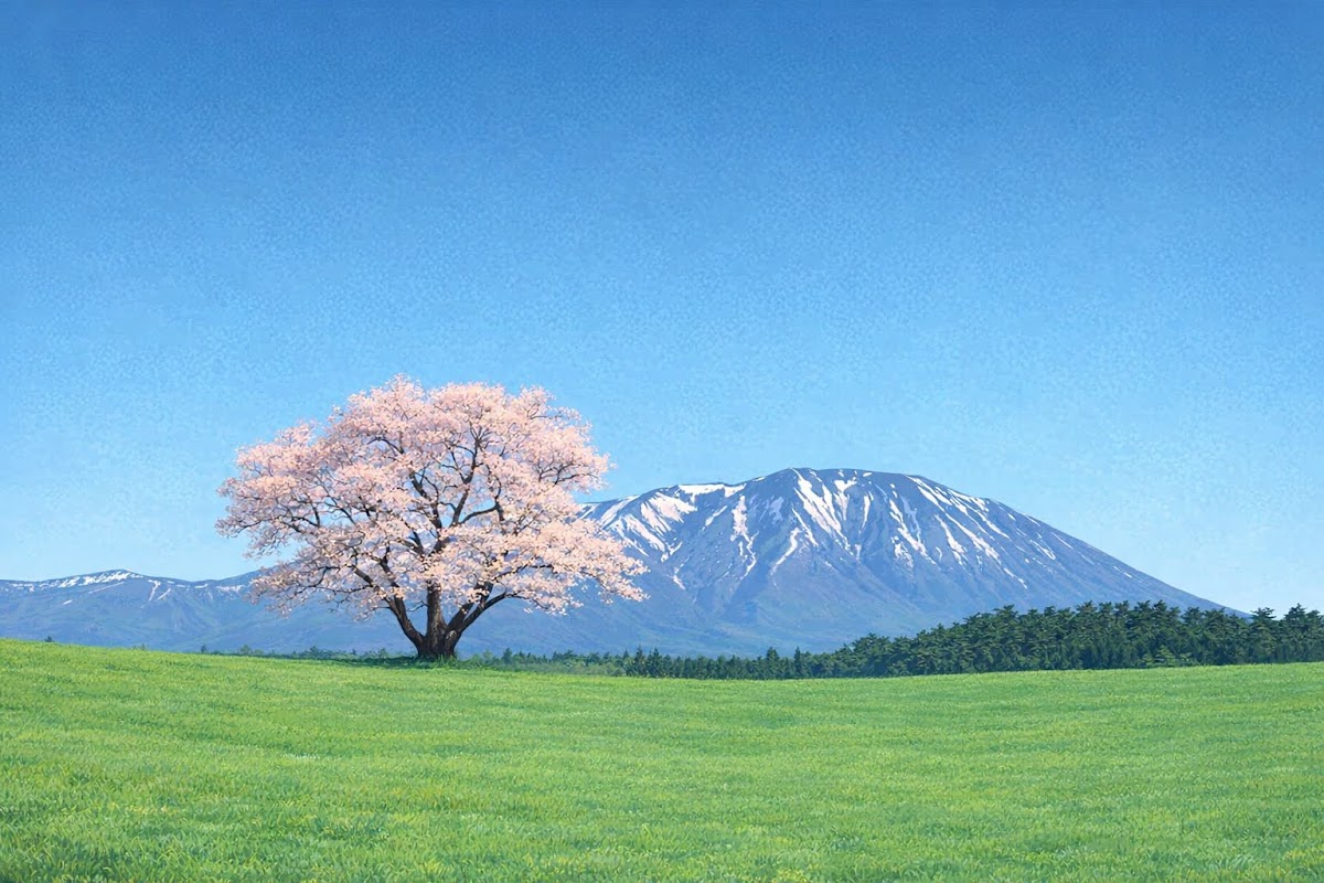 小岩井農場の一本桜