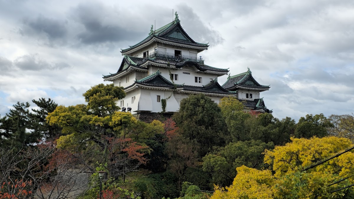 和歌山城的樱花