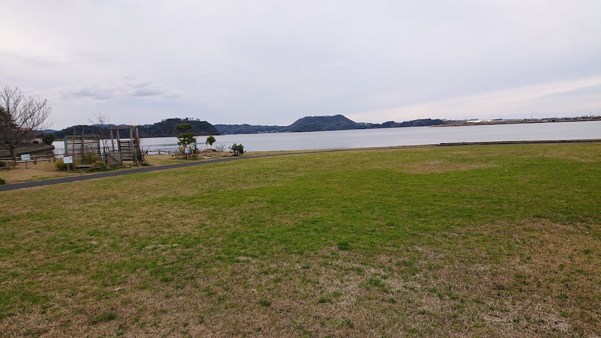 湖山池の桜｜鳥取県屈指の花見名所、青島公園で楽しむ30種500本の桜と菜の花の絶景