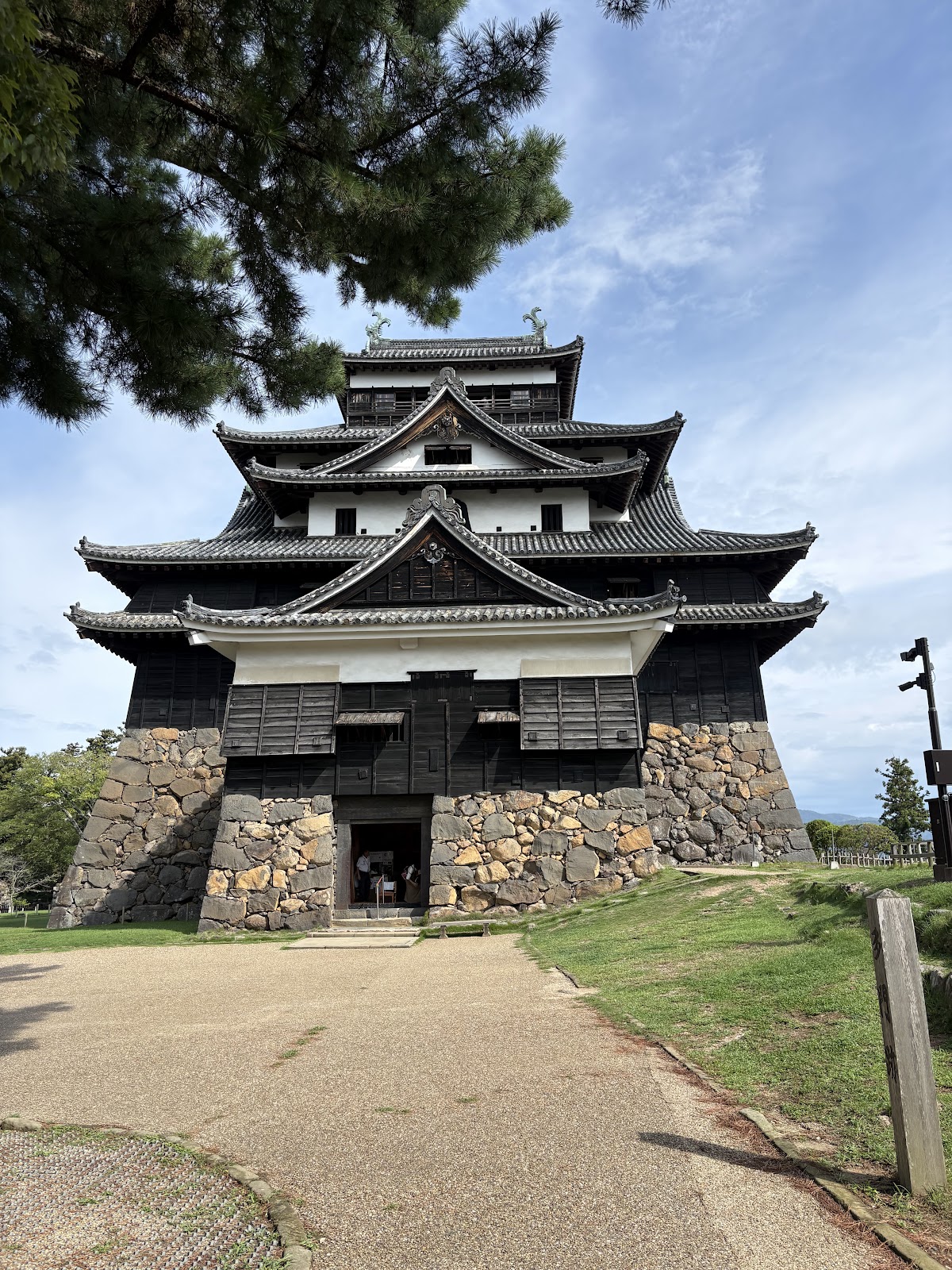 松江城山公園の桜
