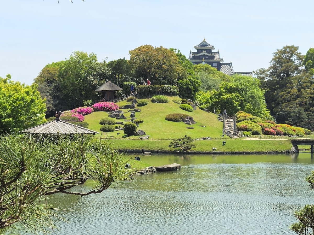 岡山後楽園の桜|日本三名園で楽しむお花見の完全ガイド2025