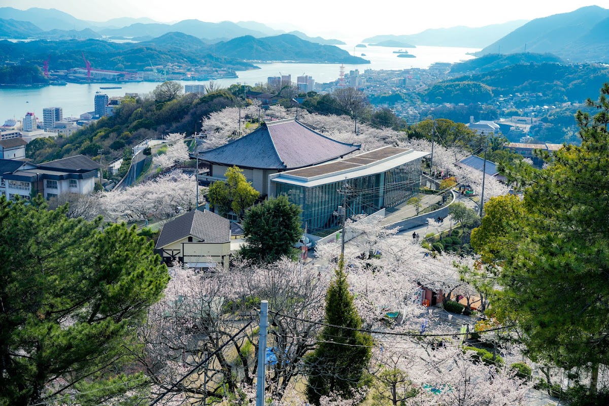 千光寺公園の桜