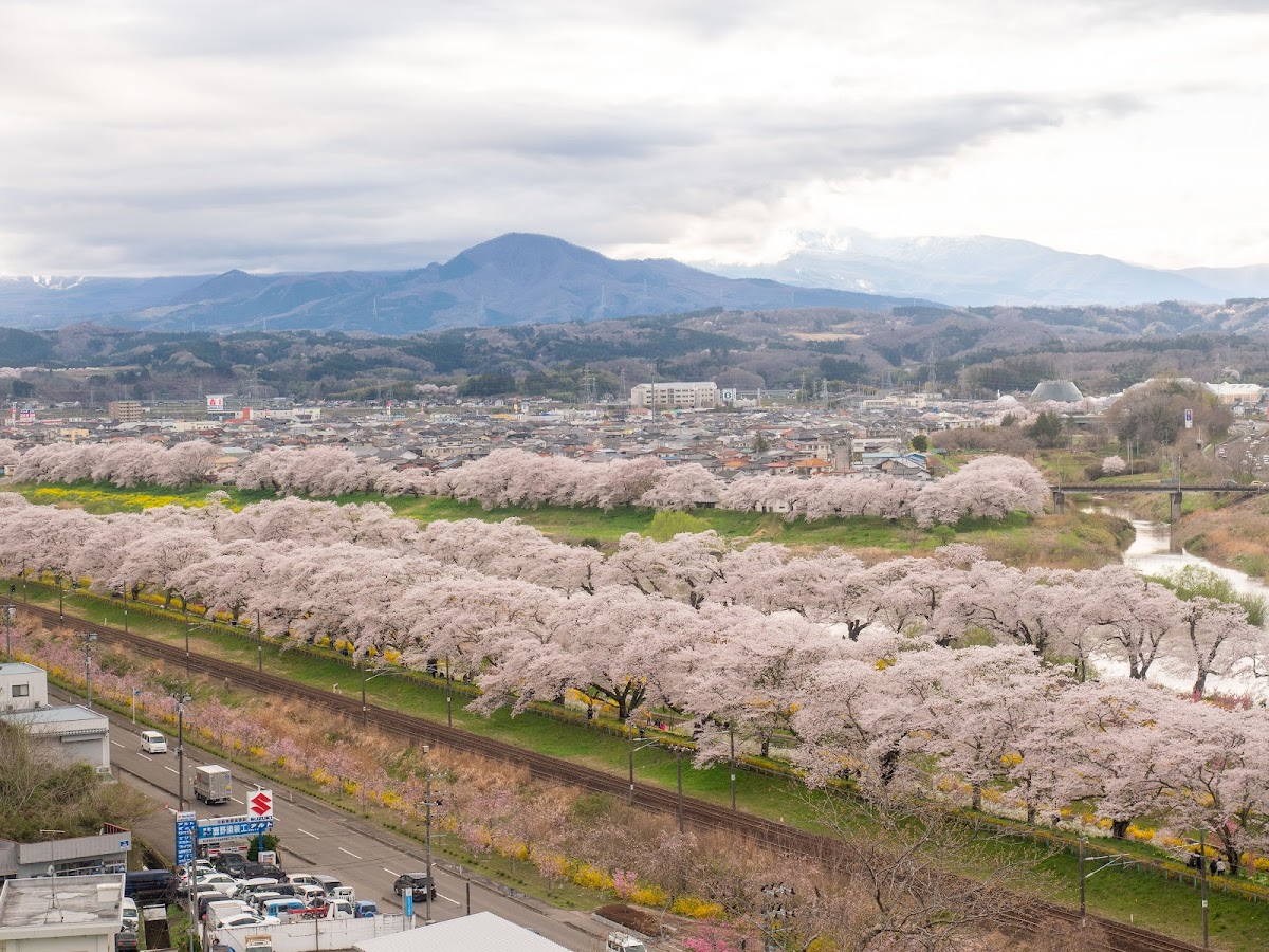 白石川堤一目千本桜