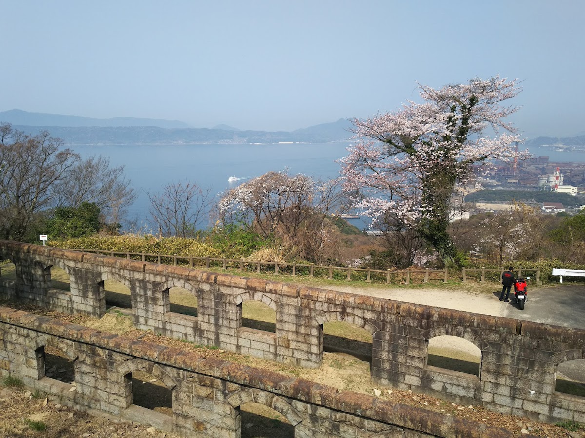 音戸の瀬戸公園の桜