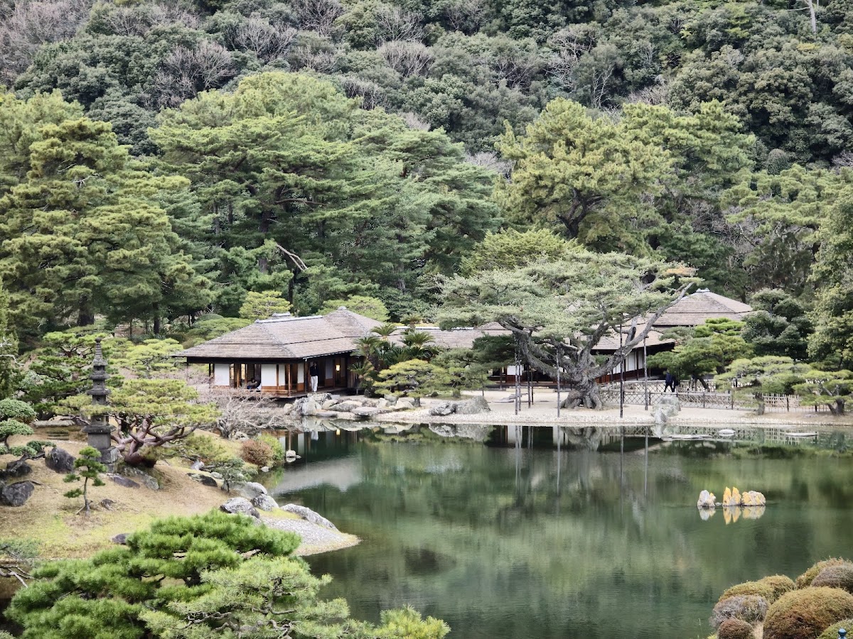 栗林公園(香川県)の桜