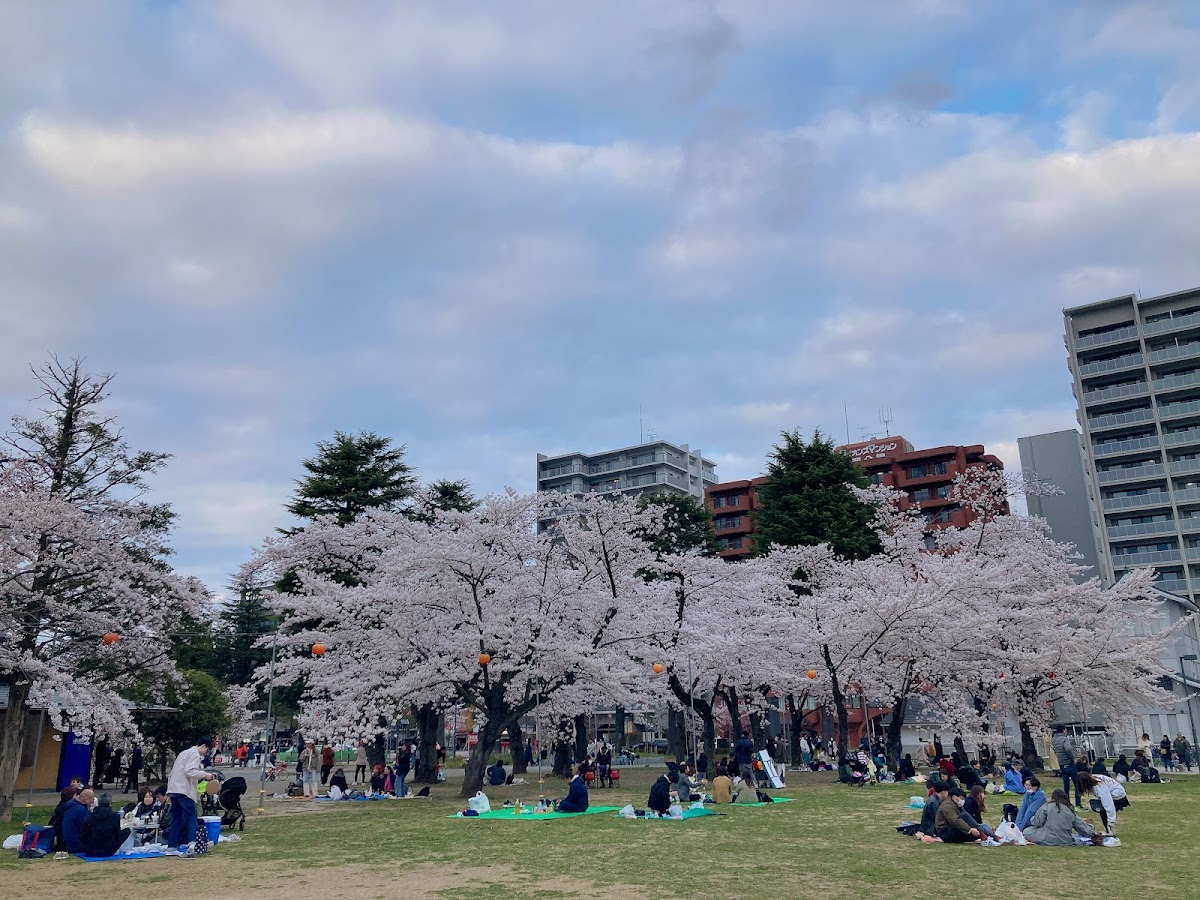 西公園(宮城県)桜の名所