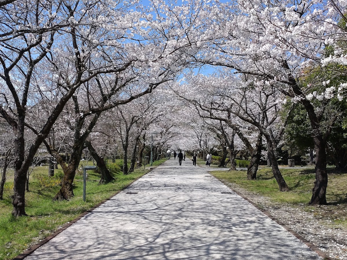 鏡野公園(高知県香美市)